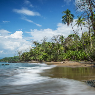 Bahia Drake - Beach